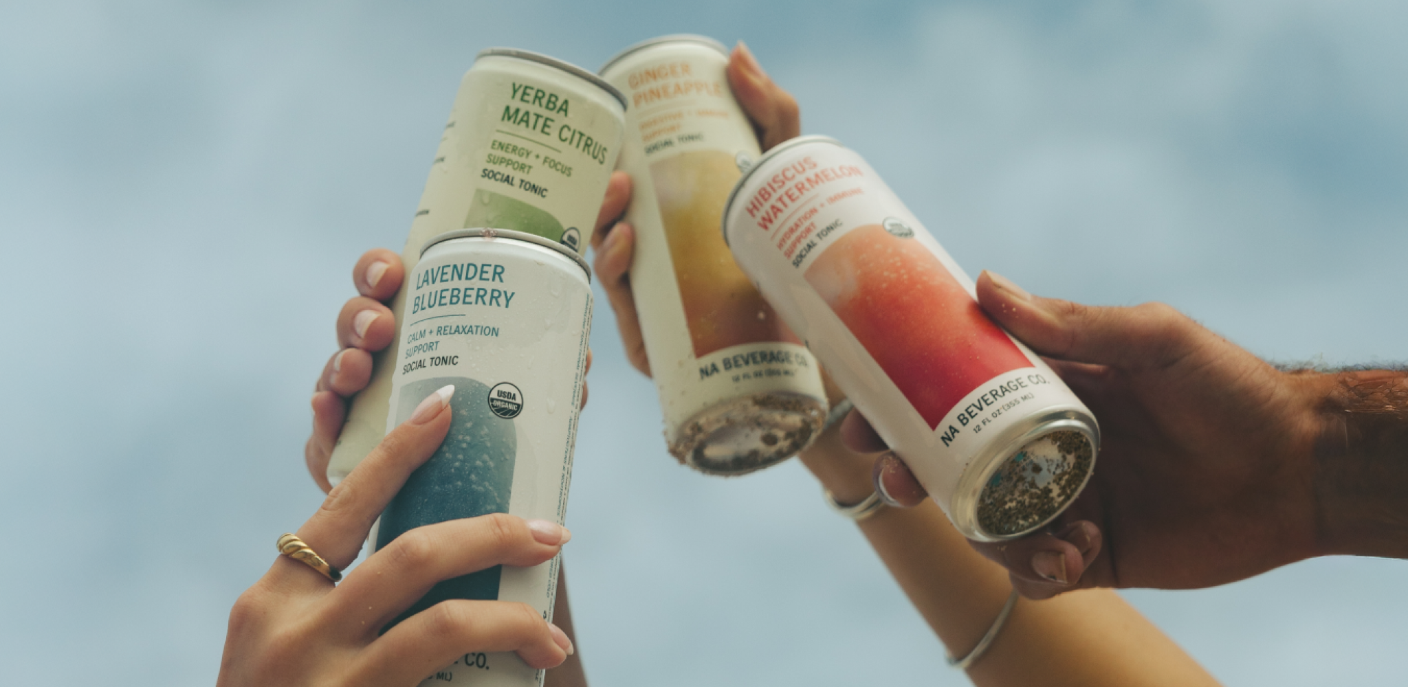 NA Beverage Co. NA Beverage Co. Social Tonics — product image